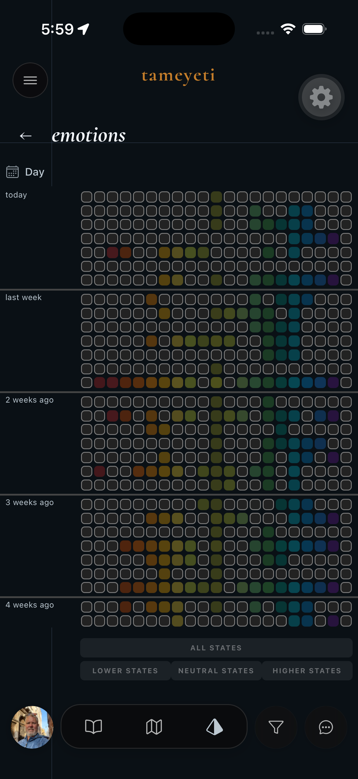 tameyeti's Emotions lens, a calendar-style heatmap showing mood scores over several weeks, colored by emotional state.